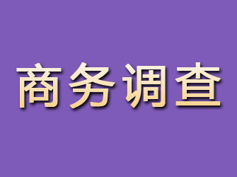 田家庵商务调查