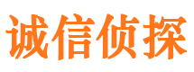 田家庵市侦探调查公司